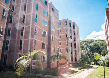 En 23% crecieron los licenciamientos durante el primer semestre de 2013
